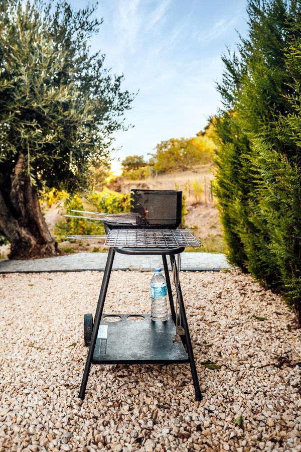 Вилла Casa Com Piscina No Coracao Do Douro - Domaine Casa Valenca, Валенса-ду-Дору Экстерьер фото
